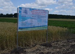 Щорічний традиційний огляд дослідів кафедр